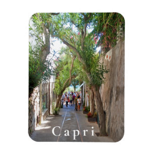 Capri. #5 magnet
