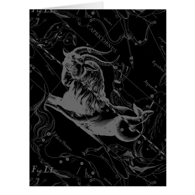 Capricorn Constellation Hevelius 1690 Engraving (Front)