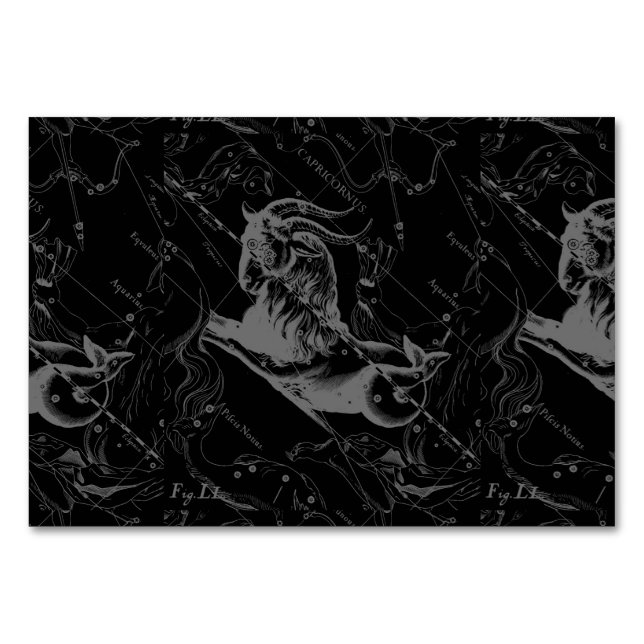 Capricorn Constellation Hevelius 1690 on Black Table Number (Front)