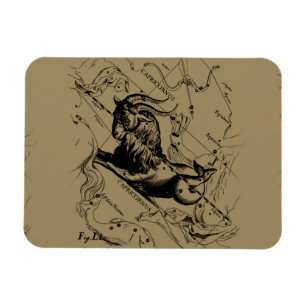 Capricorn Constellation Hevelius 1690 on Taupe Magnet