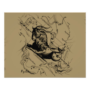 Capricorn Constellation Hevelius 1690 on Taupe Photo Print