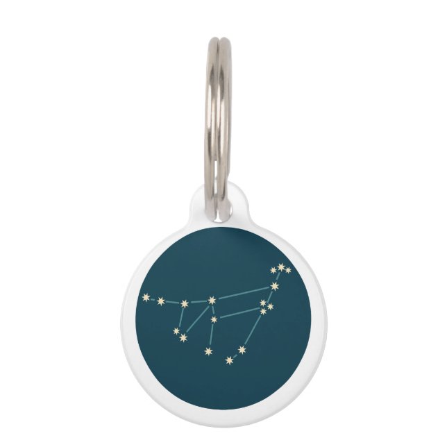 Capricorn Constellation Pet Tag (Front)