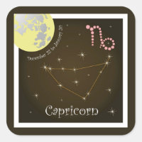 Capricorn December 22 to January 20 Aufkleber
