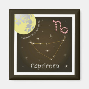 Capricorn December 22 to January 20 Magnet