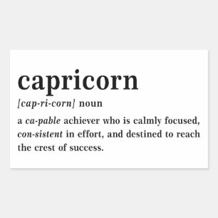 Capricorn Definition Aesthetic Astrology Gift Sticker