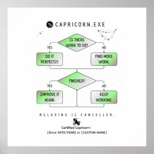 Capricorn Flowchart Funny Zodiac Humor (colourful) Poster