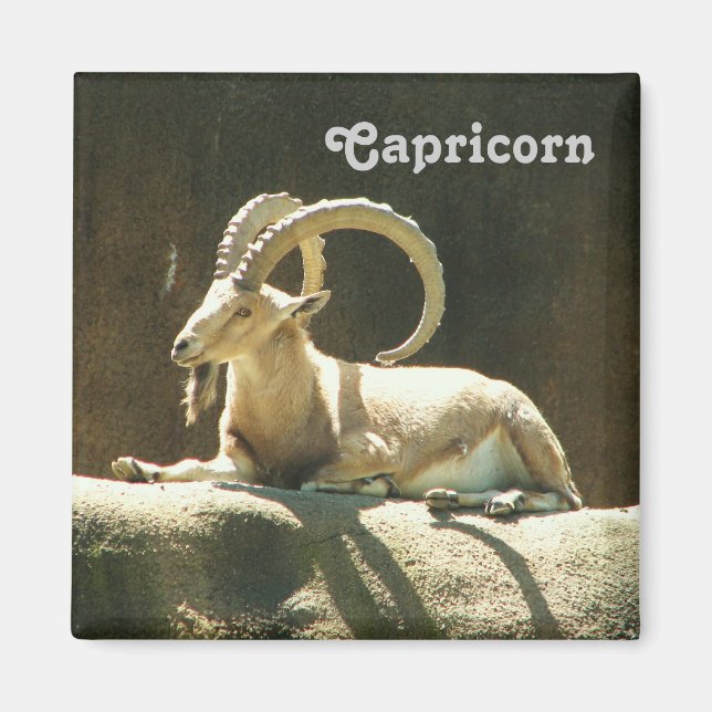 Capricorn Magnet! Magnet (Front)