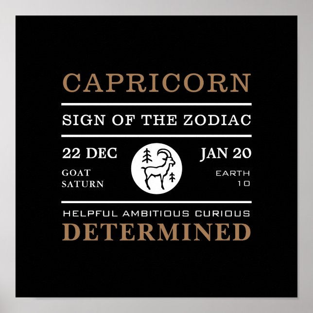 Capricorn Sign of the Zodiac, Astrological Poster (Front)