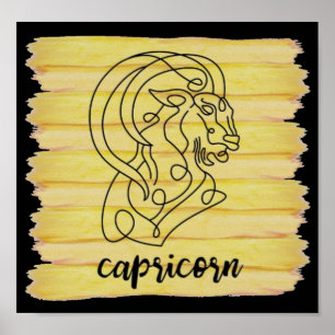 Capricorn Star sign