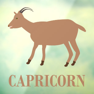 Capricorn Star Sign Goat