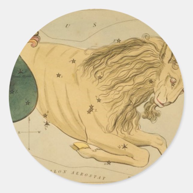 Capricorn Sticker (Front)