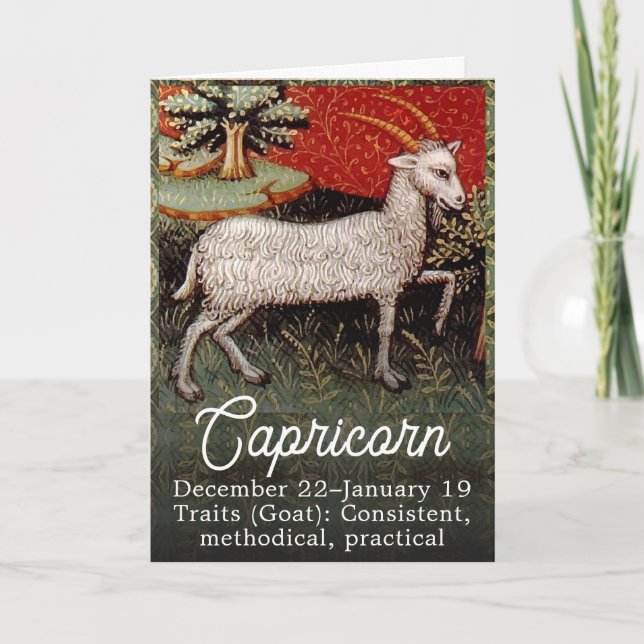 Capricorn the Goat Zodiac Sign Birthday Party Card (Front)