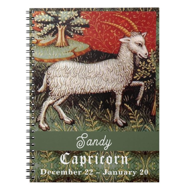 Capricorn the Goat Zodiac Sign Birthday Party Notebook (Front)