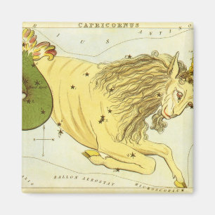 Capricorn Vintage Constellation, Urania's Mirror Magnet
