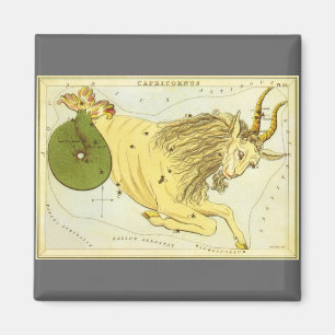 Capricorn Vintage Constellation, Urania's Mirror Magnet