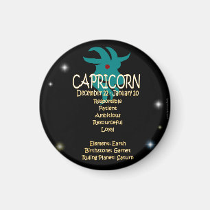 Capricorn zodiac magnet