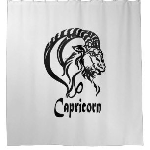 Capricorn Zodiac Sign and Symbol Silver