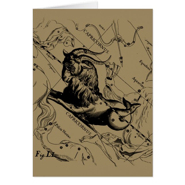 Capricorne Constellation Hevelius 1690 sur Taupe (Devant)