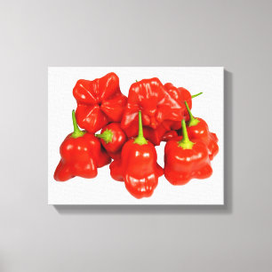 Capsicum Chinense Chili toile étirée