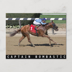 Captain Bombastic Postcard
