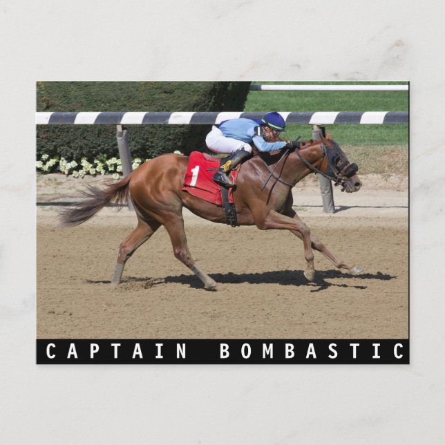 Captain Bombastic Postcard (Front)