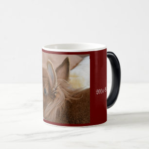 Captain Carrotpants/Borys Memorial Mug