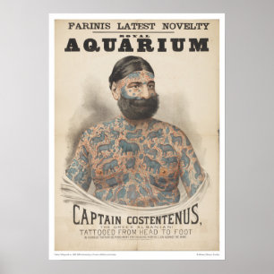 Captain Costentenus: Tattooed from Head to Foot Poster