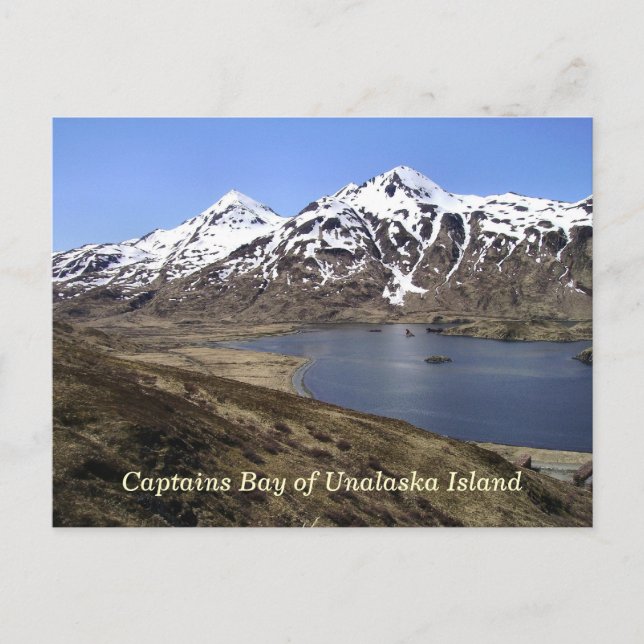 Captains Bay of Unalaska Island Postcard (Front)