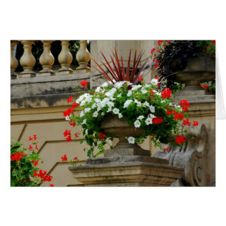 Captain's Square Flowers