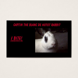 captin001, Captin The Blanc De Hotot Rabbit, I ...