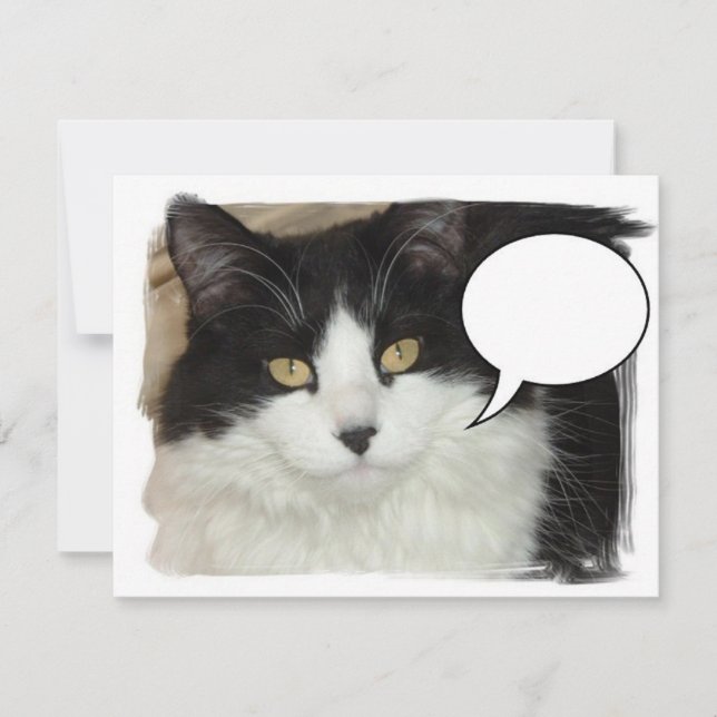 Captioned Cat (Front)