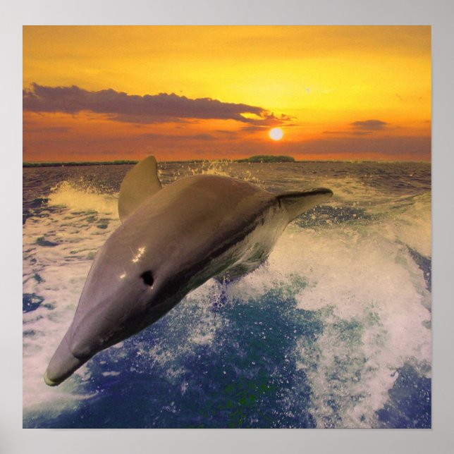 Captiva Dusk Poster (Front)