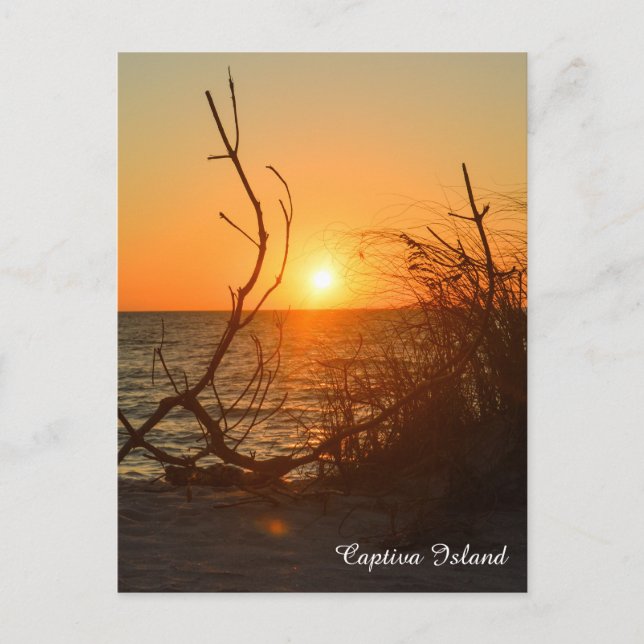 Captiva Sunset postcard (Front)