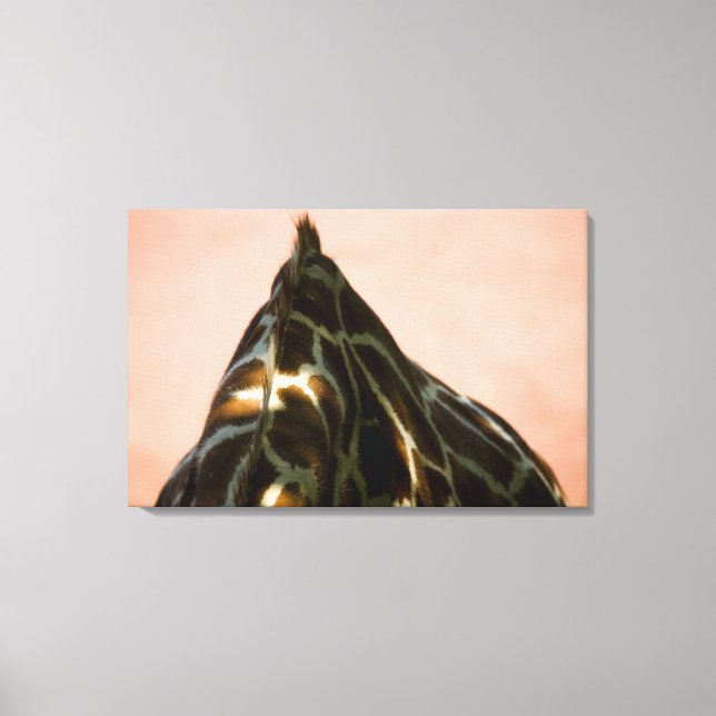Captive animal canvas print (Front)