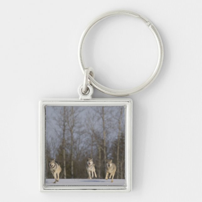 Captive, Duluth, Minnesota, USA 2 Keychain (Front)