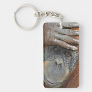 Captive female Sumatran Orangutan Keychain