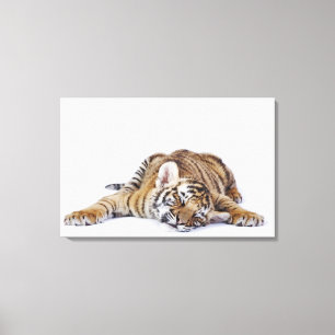 Captive, South Africa 2 Canvas Print