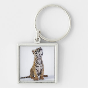 Captive, South Africa 2 Keychain