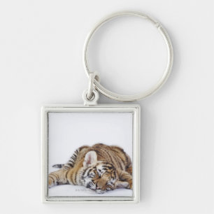 Captive, South Africa 3 Keychain