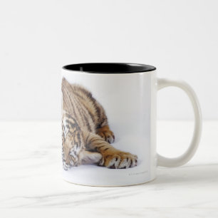 Captive, South Africa 3 Two-Tone Coffee Mug