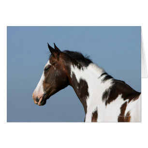 Capture d'écran du Cheval de peinture 1