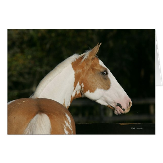 Capture d'écran du Cheval de peinture 2 (Devant horizontal)