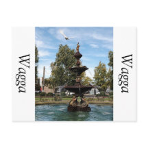 Capture of bird flying from fountain