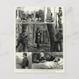 Capture of the Ned Kelly Gang Postcard