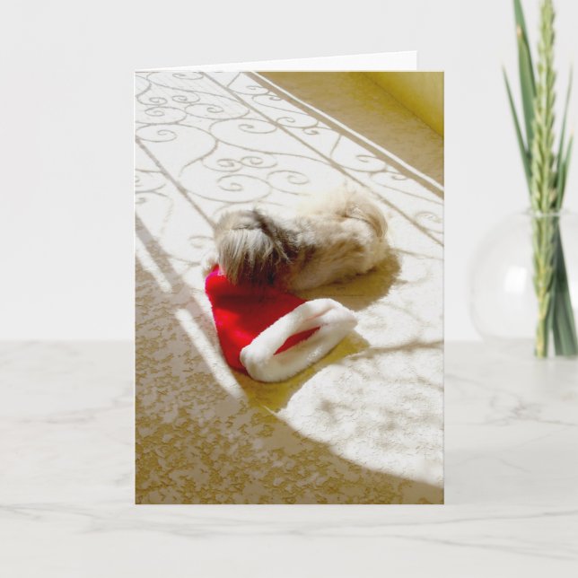 Captured Santa Holiday Card (Front)