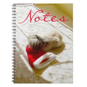Captured Santa Notebook