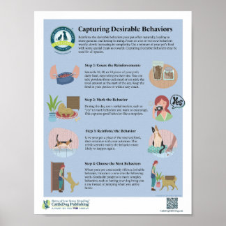 Capturing Desirable Behaviours Poster