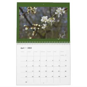 Capturing Nature's Beauty calander Calendar