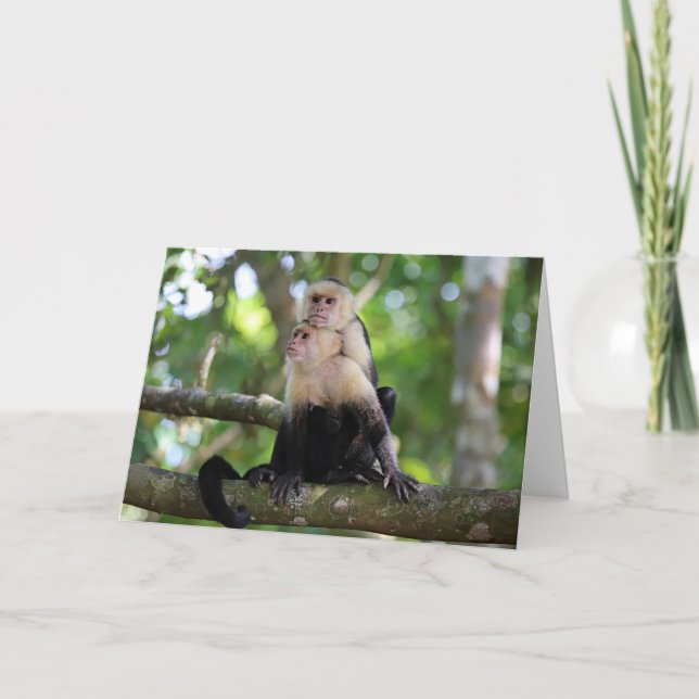 Capuchin Monkeys Card (Front)