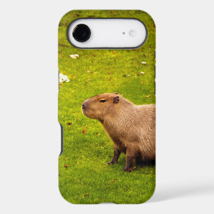 Capybara